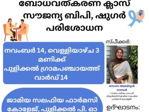 world diabetes day 2025